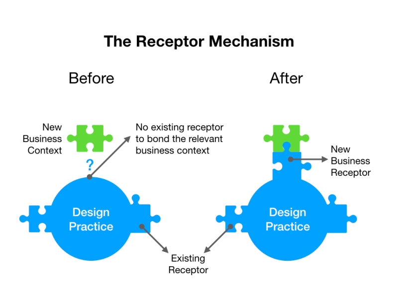 Receptor_Mechanism